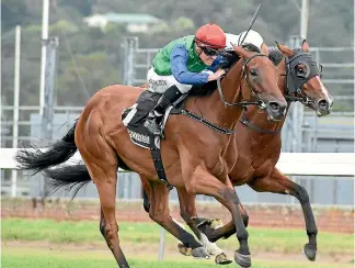  ?? RACE IMAGES ?? New Zealand and Australian Oaks winner Bonneval is a finalist in the Champion stayer and three-year-old categories.