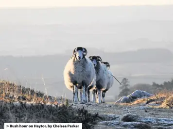  ??  ?? > Rush hour on Haytor, by Chelsea Parker