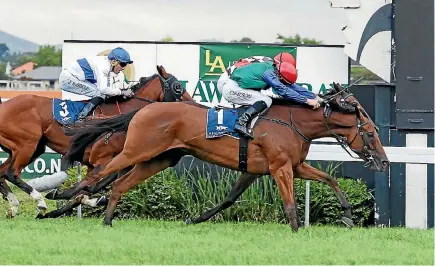  ?? PHOTO: RACE IMAGES ?? Bonneval will have to cope with racing right-handed in the Australian Oaks at Randwick on Saturday.