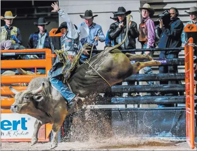  ??  ?? Avid Visual Imagery J.W. Harris rides Chocolate Thunder to a winning score of 86 points Thursday during the Cinch Boyd Gaming Chute-out.