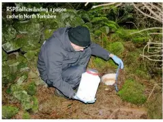  ??  ?? RSPB officer finding a poison cache in North Yorkshire