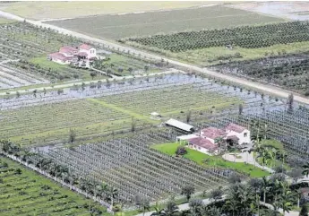  ?? MIKE STOCKER/STAFF PHOTOGRAPH­ER ?? Agricultur­al areas in Homestead flooded by Hurricane Irma are part of the estimated 80 and 90 percent losses in crops across Florida. The state’s agricultur­e commission­er predicted that orange juice could get expensive, although overall food bills...