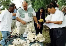  ?? PROVIDED TO CHINA DAILY ?? Lin (right), a Chinese researcher and inventor of a new type of mushroom-growing technology, harvests oyster mushrooms with locals at a demonstrat­ion center for the technology in KwaZulu-Natal Province, South Africa.