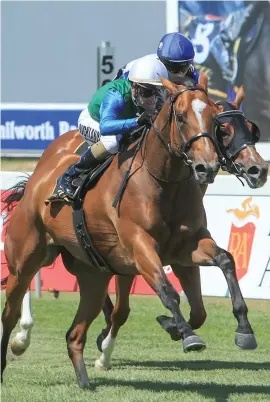  ??  ?? EASY. Marion Belle scores her second win in a row when beating Gimme Katrina over 1000m at Kenilworth on Saturday.