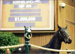  ?? KEENELAND PHOTO ?? A yearling colt by American Pharoah out of Mekko Hokte sells for $1 million at the Keeneland January horses of all ages sale.