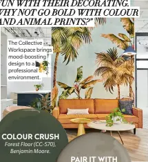  ??  ?? COLOUR CRUSH Forest Floor (CC-570), Benjamin Moore.
PAIR IT WITH