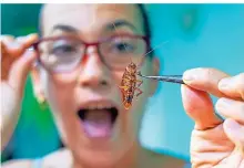  ?? FOTO: DPA ?? Insekten, wie etwa Kakerlaken, finden viele Menschen ekelig.