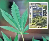  ??  ?? IT’S NO TOKE: The Town of Hempstead, comprising 59 villages and hamlets, wants no part of the pot law.