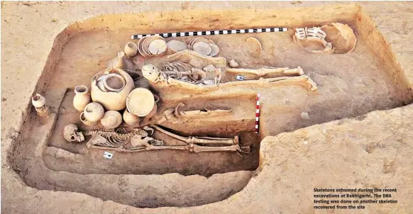  ??  ?? Skeletons exhumed during the recent excavation­s at Rakhigarhi. The DNA testing was done on another skeleton recovered from the site