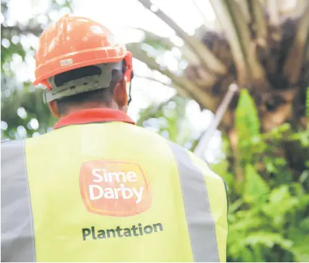  ?? ?? As global edible oil demand uptick is expected to outpace supply growth, Sime Darby Plant’s inventory outlook is likely to remain tight with likelihood of minimal increase or even falling.