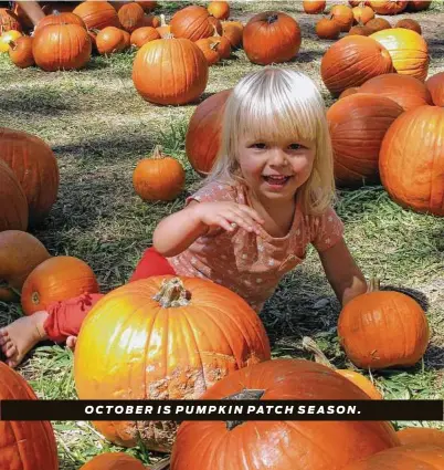  ?? Nature Discovery Center ?? OCTOBER IS PUMPKIN PATCH SEASON.