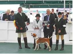  ??  ?? The ‘outstandin­g’ harrier bitch champion Waveney Lavender 15, with young handler Harry Baker and joint-master Chris McDaniel