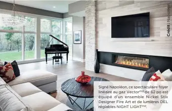  ??  ?? Signé Napoléon, ce spectacula­ire foyer linéaire au gaz Vectormd de 62 po est équipé d’un ensemble Nickel Stix Designer Fire Art et de lumières DEL réglables NIGHT LIGHTMD.