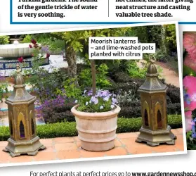  ??  ?? Moorish lanterns
– and lime-washed pots planted with citrus