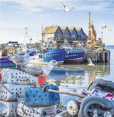  ?? ?? Whitstable’s fishing fleet will be among those hoping the latest campaign identifies a sustainabl­e species which can be marketed to the masses