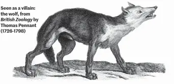  ??  ?? Seen as a villain: the wolf, from British Zoology by Thomas Pennant (1726-1798)