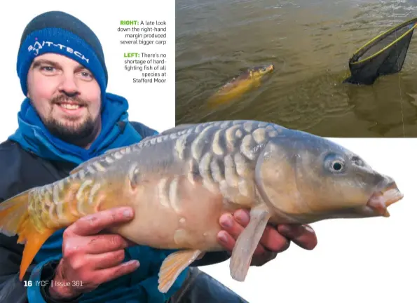  ??  ?? RIGHT: A late look down the right- hand margin produced several bigger carp
LEFT: There’s no shortage of hardfighti­ng fish of all species at Stafford Moor