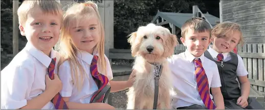  ??  ?? Nelly the six-month-old cockapoo, pictured with some of her young classmates at Tiger Primary School in Boughton Lane