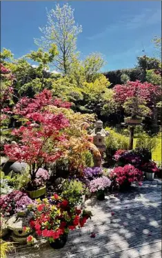  ?? Getty Images / Getty Images ?? Garden spaces hit by light that filters through trees is in "dappled" shade, and may need different attention than gardens in full sunlight.