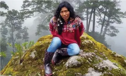  ?? Photograph: Courtesy of family lawyer ?? Irma Galindo Barrios, a Mexican indigenous environmen­tal defender from Oaxaca who went missing in October 2021.