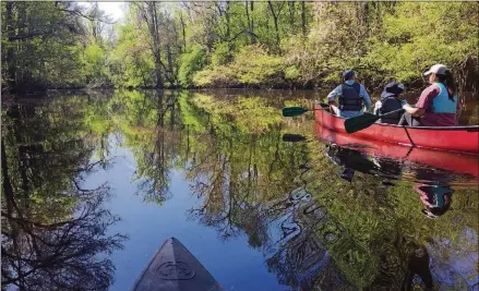  ?? WASHINGTON POST CHRISTINE DELL’AMORE FOR THE ?? Congaree National Park floodplain park is best discovered on the water, by paddling several different canoe trails.