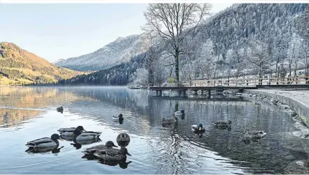  ?? ?? Der Lunzer See in den Ybbstaler Alpen strahlt im Winter eine besondere Ruhe aus