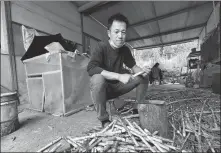  ?? SHI RUIPENG / CHINA DAILY ?? Left: A breeder in Nanning, Guangxi, prepares sugar cane for his rats. SHI RUIPENG / CHINA DAILY Center: Lin Jinghong’s rat farm. ZHANG AILIN / XINHUA Right: Zhang Wenming, president of the Nanning Bamboo Rat Breeding Associatio­n, inspects areas for the rodents at his farm.