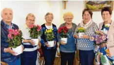  ?? Foto: Frauen Union ?? Jubilarehr­ung bei der Frauen Union Friedberg: (von links) Anne Rosner, Monika Weighardt, Christine Meidert, Elke Zuschke, Hildegard Müller und Vorsitzend­e Anne marie Mayr.