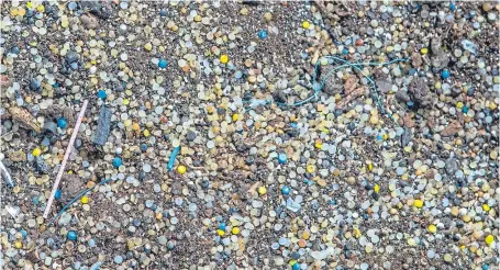  ?? Picture: Steven Brown. ?? Thousands of plastic pellets, or nurdles, washed up on the beach at North Queensferr­y.