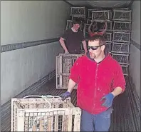  ?? SUBMITTED PHOTO BY TAIT BUDGE ?? Victoria Co-operative Fisheries Ltd. employees Colin MacDonald (in front), David Fraser and Lawrence MacKinnon assist in loading lobster traps onto a truck in Cheticamp on Wednesday. Victoria Co-op Fisheries purchased the used lobster traps at a reduced rate from Ricky Harris of Cheticamp to donate to fishers from Bay St. Lawrence to Smelt Brook, Victoria Co., who lost hundreds of traps in high winds last weekend.