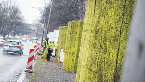  ?? FOTO: LINO MIRGELER/DPA ?? Grüne Lunge: Halb fertiggest­ellte Mooswand aus grauem Zackenmütz­enmoos entlang einer Hauptverke­hrsstraße in Stuttgart.