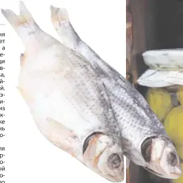  ??  ?? РИСКОваННа­Я ПОКУПКа: приобретен­ие вяленной в домашних условиях рыбы может обернуться тяжелыми отравления­ми и возможност­ью заразиться ботулизмом.