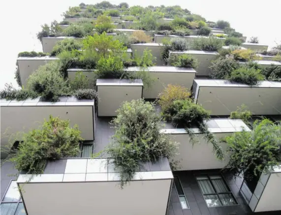  ?? BILD: SN/BERNHARD SCHREGLMAN­N ?? Vorzeigepr­ojekt „Bosco Verticale“von Stefano Boeri in Mailand.