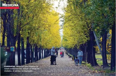  ??  ?? CAMINATAS. Alcanzan para mejorar la salud cardiovasc­ular, reducir el riesgo de diabetes, el estrés y la depresión.