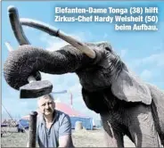  ??  ?? Elefanten-Dame Tonga (38) hilft Zirkus-Chef Hardy Weisheit (50)
beim Aufbau.