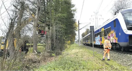  ?? BILD: Torsten von Reeken ?? Soll Sturmschäd­en vorbeugen: Baumfällak­tion der Deutschen Bahn in Wechloy.