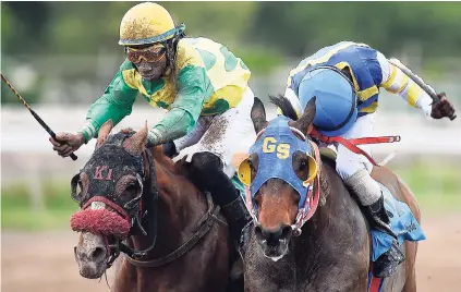  ?? GLADSTONE TAYLOR ?? BAY COMMANDER (right), with Robert Halledeen aboard, getting home by a neck from HEY CHAMP (Shamaree Muir) in a thrilling finish to yesterday’s eighth race at Caymanas Park.