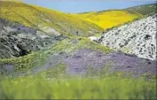  ?? Francine Orr Los Angeles Times ?? THE CARRIZO PLAIN National Monument is one of several in California that could be redesignat­ed.