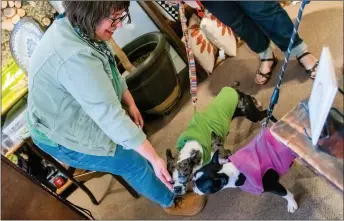  ?? DANIEL PEARSON/Taos News ?? Janel Lato, sales attendant at Indigo Market, gives dog treats to Betty, in purple, and Earl inside of her store on Friday (April 5).