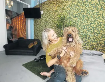  ?? Picture: ESA ALEXANDER ?? CANINE CAPERS: Irish terrier Frits Smith in his room with Yanic Klue, owner of atFrits Dog Hotel