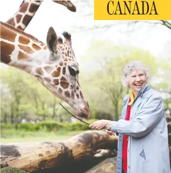  ?? KINOSMITH ?? Canadian biologist Anne Dagg in a scene from the 2018 documentar­y The Woman Who Loves Giraffes.