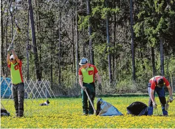  ?? Foto: Peter Fastl ?? Auszubilde­nde der städtische­n Forste haben am Haunstette­r Wald zur Hacke gegriffen und Wildbirnen gepflanzt. Zusammen mit dem gesamten Laubwald sollen sie dafür sorgen, dass nach Regenfälle­n die Wasserrese­rvoire gut gefüllt sind.