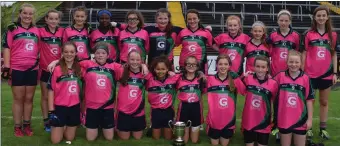  ??  ?? Well done to the Clonard/Volunteers under-12 Pink team who are the Division 2 county championsh­ip final winners after defeating Taghmon on Sunday in Wexford Innovate Park by 5-3 to 0-6.