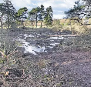  ?? Picture: Paul Reid. ?? Churned up earth at the former curling pond.