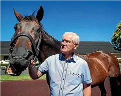  ?? PHOTO: MIKE SCOTT/STUFF ?? At the ripe age of 27 Cambridge Stud’s prize stallion Zabeel retired in 2013. The horse died in 2015.