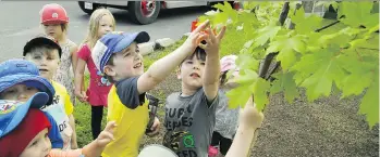  ?? CLIFFORD SKARSTEDT ?? This month, both the federal Liberal government and B.C.’s Liberal party promised billions of dollars in funding to create new child-care spaces and make child care more affordable.