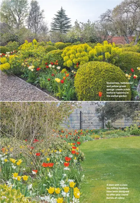  ??  ?? Domed box, hellebores and yellow-green spurge create a rich textural tapestry in the walled garden
A lawn with a view: the hilltop borders have been designed to offer year-round bursts of colour