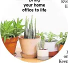  ??  ?? Bring your home office to life