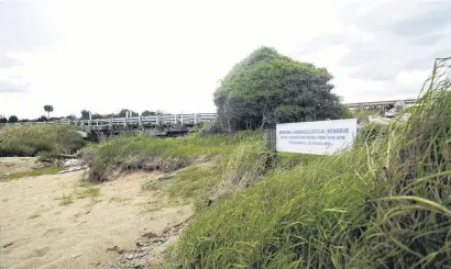  ?? PHOTO: REBECCA RYAN ?? Protection required . . . The need for ongoing protection at the Awamoa Creek archaeolog­ical site is being assessed, after recent damage.