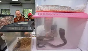  ?? — RAJA FAISAL HISHAN/ The Star ?? The curious audience of Dr Khaldun’s Snake Venom talk at Malaysia Nature Society’s headquarte­rs eyeing the king cobra and snapping some photos.